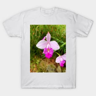 Kula Botanical Gardens Study 39 T-Shirt